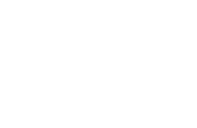 bodegahelechos