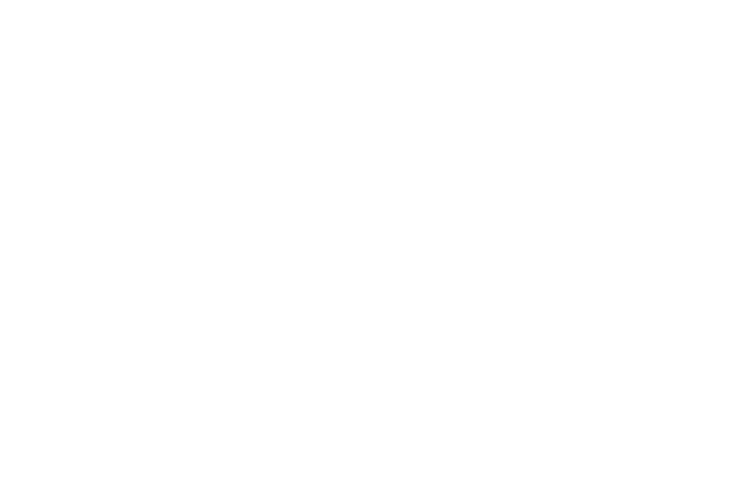 Burni